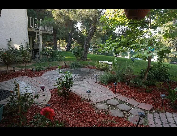 4169 Pinewood Lake Dr — Photo 22