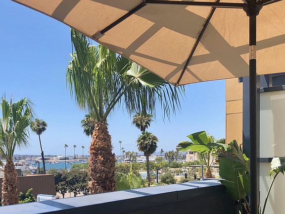 West-facing Bay view surrounded by Palms