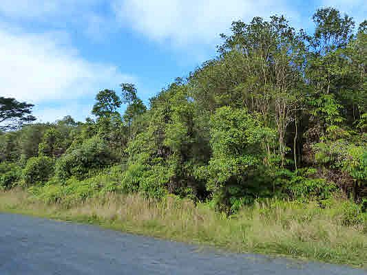 1st image of Kauai St