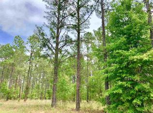 Vacant Ne Blue Ridge Landing Ave, Lee, FL 32059