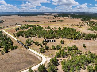 Gold Rush Rd, Custer, SD 57730