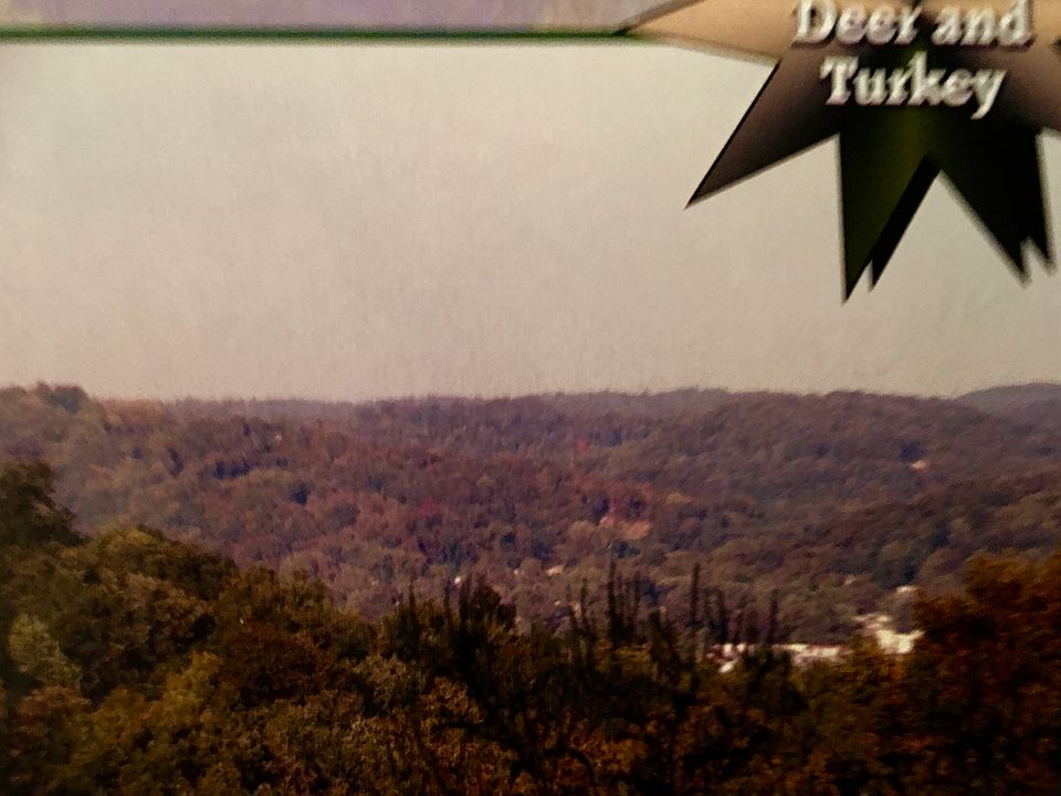 2nd image of 00 Vintroux