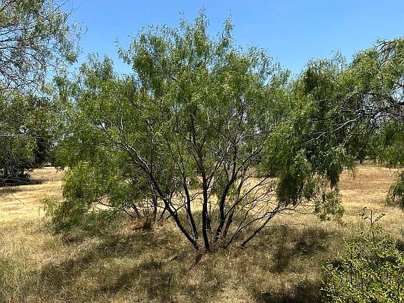 4th image of Lot 1050-A Fire Rock