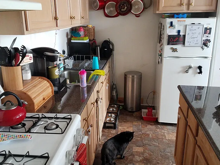 441 S Pearl St #1 — Photo 4