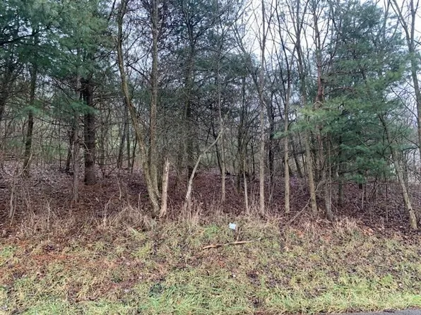 LOT 5 Ringertown Rd, Export, PA 15632