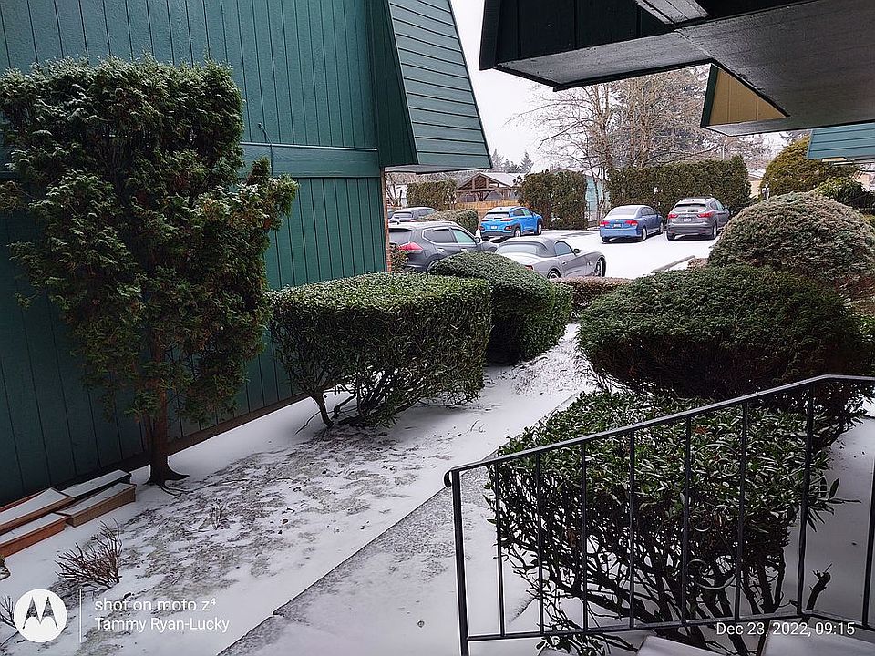 Front walkway 