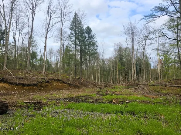 L42 Barlow Road, Bleecker, NY 12078