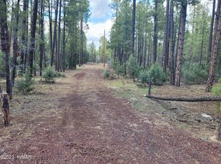 Rim Spur Cir, Lakeside, AZ 85929