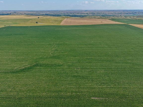 Dji Fly 20260715 181728 0215 1784159427207 Photo
