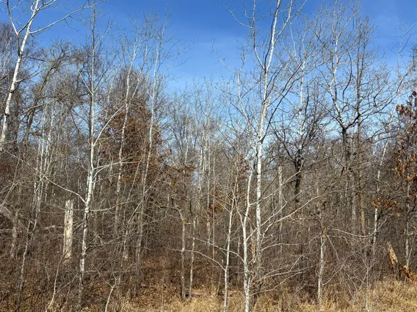 Ski Chalet Dr, Pequot Lakes, MN 56472