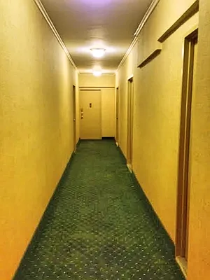 Sold by Manhattan Boutique Real Estate | media 12