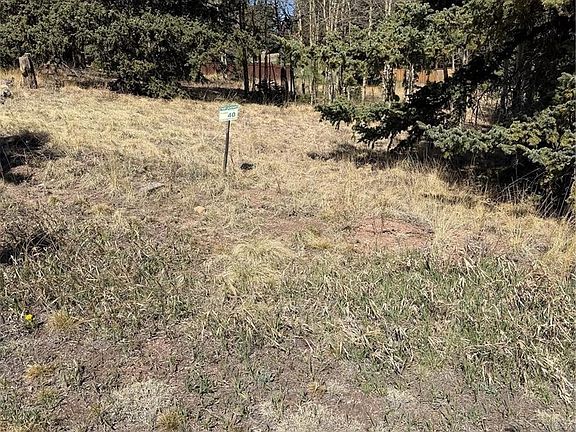 4th image of 405 Meadow Park Drive LOT 40