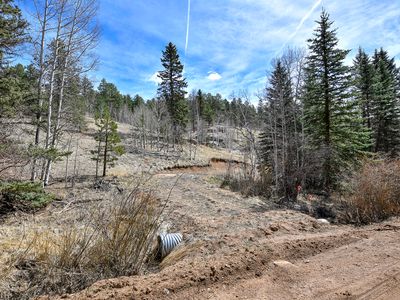 926 W Bison Creek Trl, Divide, CO, 80814