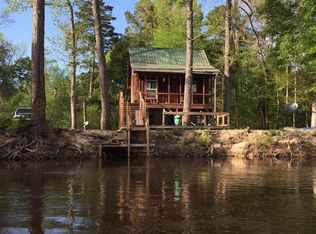 Lot 33 Coleman Bridge Road, Cobbtown, GA 30420