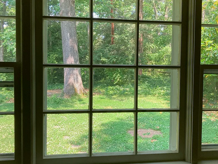 6 Gildersleeve Wood — Photo 4