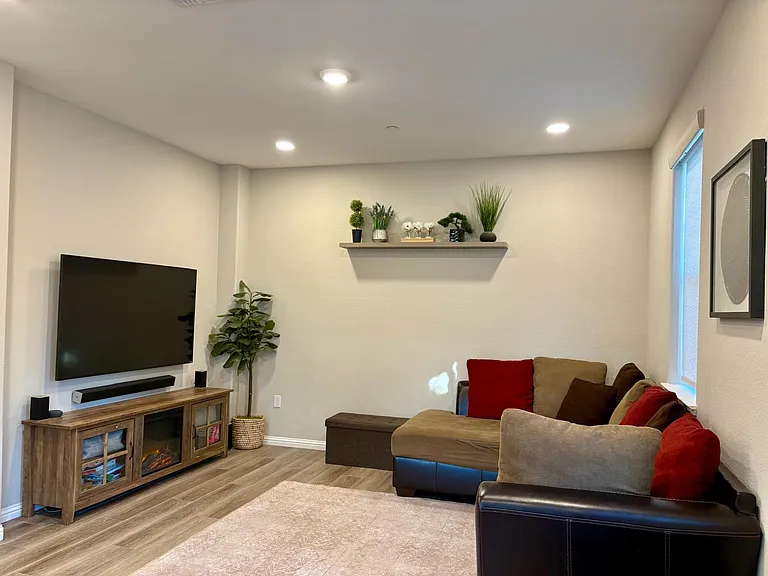 40665 Squill Cmn — Photo 3