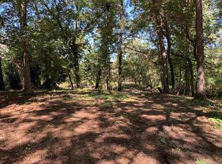 Spring Lake Dr, Conway, SC 29526