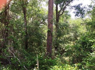 205 Strickler Rd, Pomona Park, FL 32181