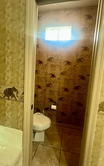 Primary bathroom water closet