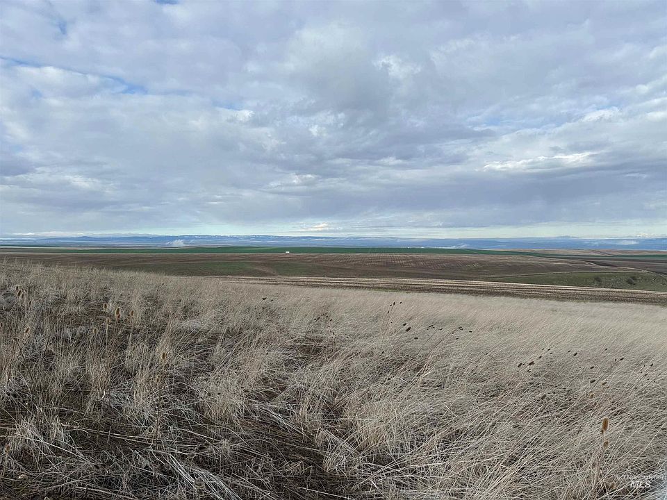 2nd image of LOT-13A Pheasant Loop Rd