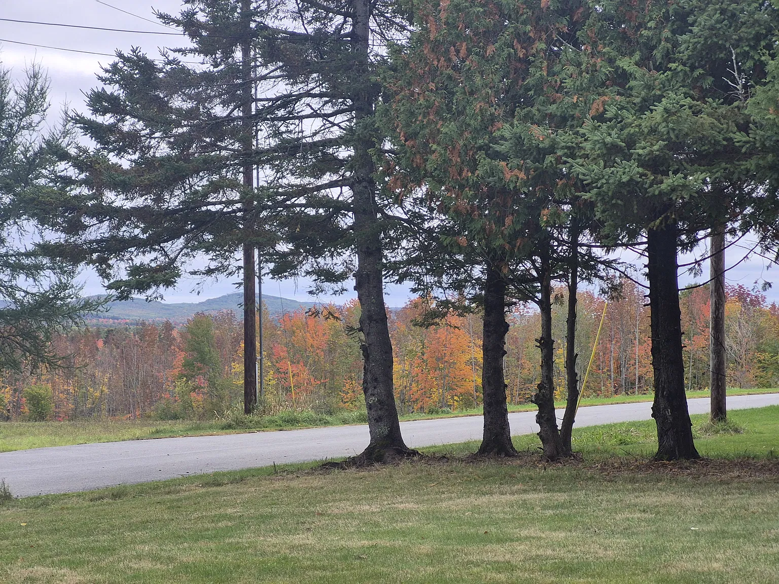 2 bed, 800 sqft, $1,650 — Photo 2