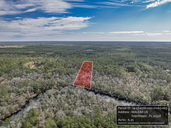 Xxx Maleah Ln, Sopchoppy, FL 32358