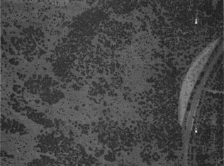 25 S 337th Hwy, Estancia, NM 87016