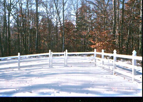 Right Side of Backyard