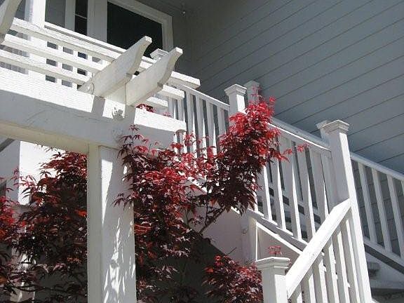 5th image of 1370 Royal Creek Ct