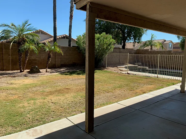 Backyard