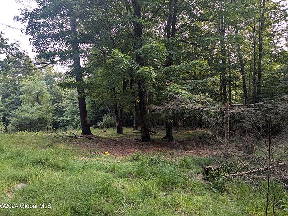 2nd image of 89 Lawrence Road Rear