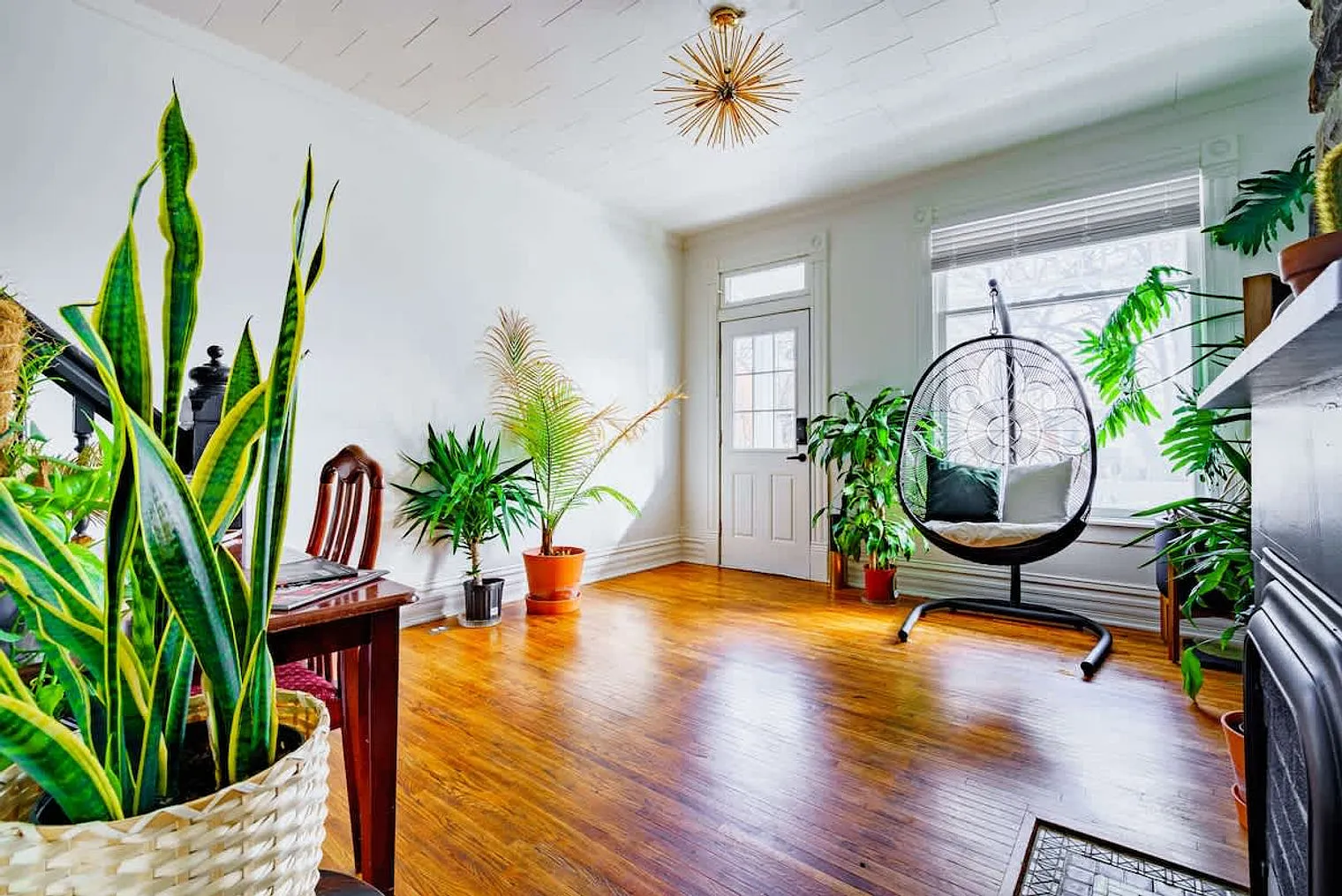 2 bed, 1.0 bath, 1496 sqft, $4,288 — Photo 3