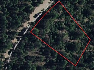 LOT 22 London Hunt Dr, Timberon, NM 88350