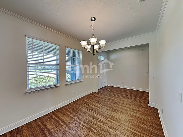 1306 Celery Palm Cv — Photo 8