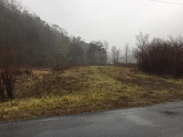 242 Ann Goode Cooper Rd, Hiltons, VA 24258