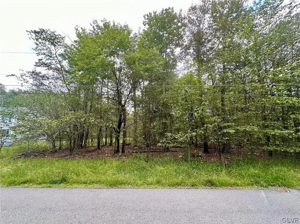 267 Birch Ln, Tobyhanna, PA 18466