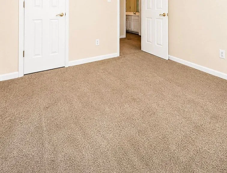 823 Tramore Dr — Photo 20