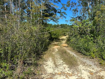 PARCEL Millside Rd #A, Laurel Hill, FL, 32567