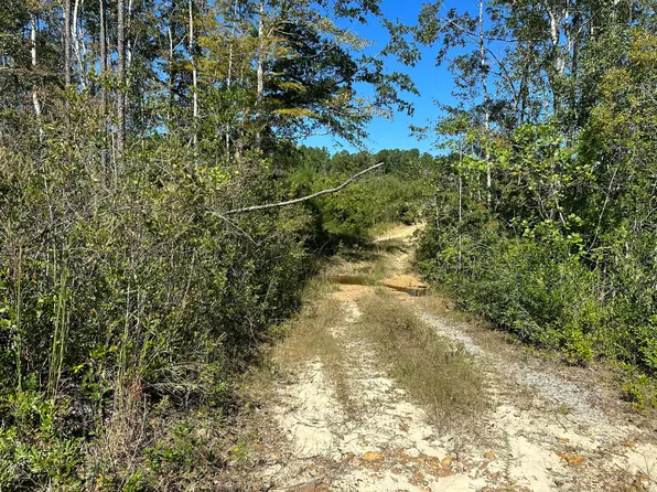 PARCEL Millside Rd #A, Laurel Hill, FL 32567