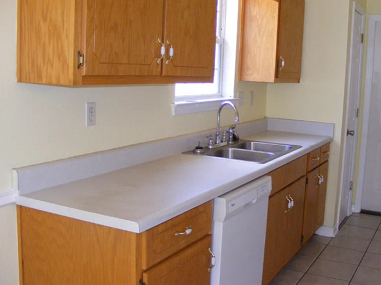 Kitchen dishwasher