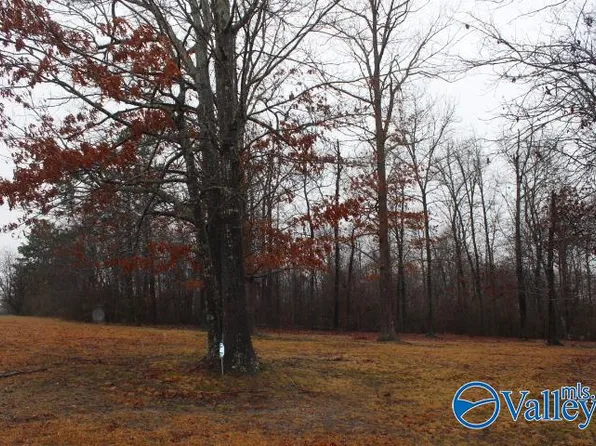 37835 State Highway 75, Fyffe, AL 35971