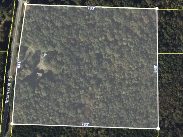 224 Tatum Gulf Rd, Menlo, GA 30731