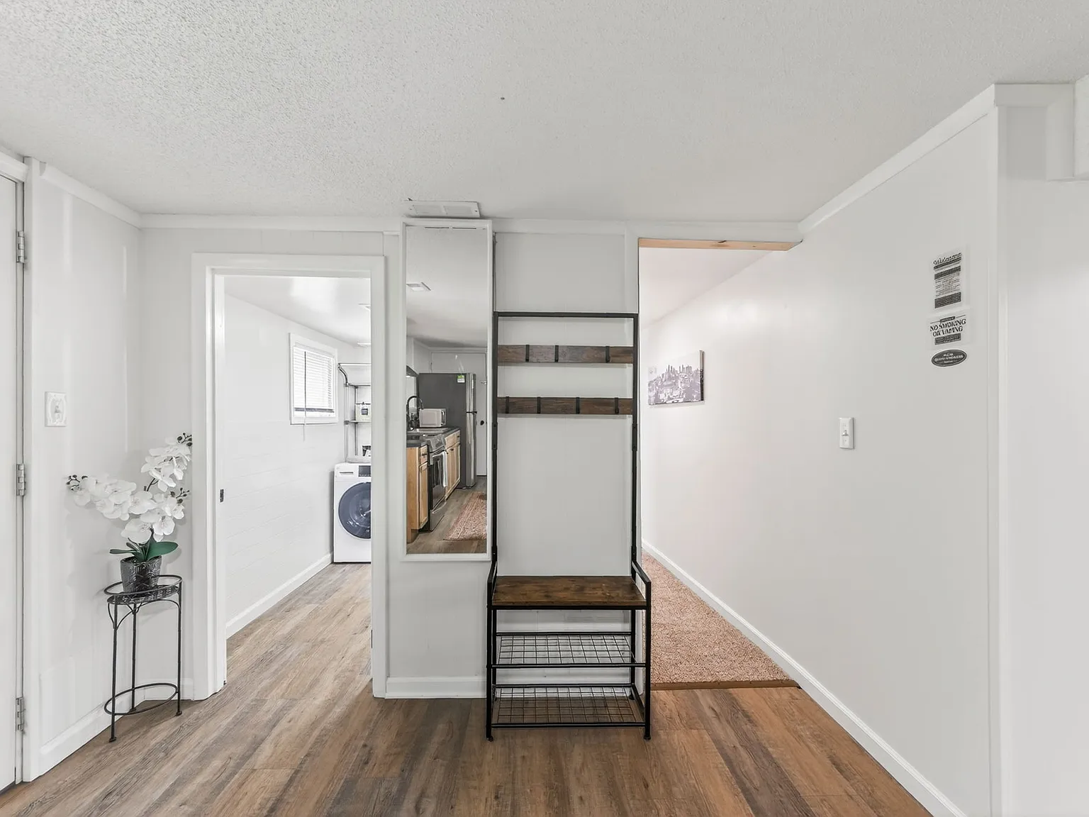 1 bed, 800 sqft, $1,250 — Photo 2
