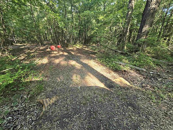 2nd image of 0 Cypress Lake Rd