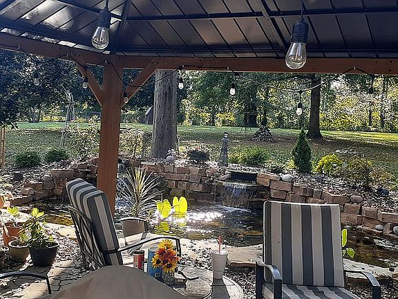 Beautiful water garden 