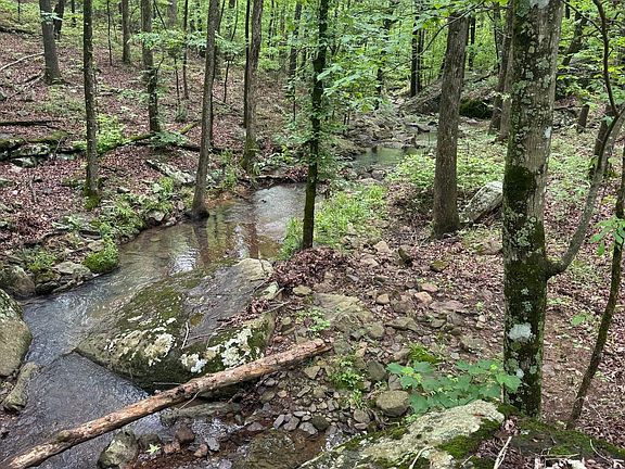 2nd image of 9919 Old 81 Loop