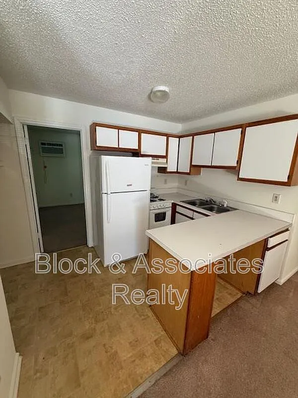 1 bed, 1.0 bath, $720 — Photo 3