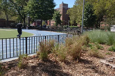 Rented by Citi Habitats