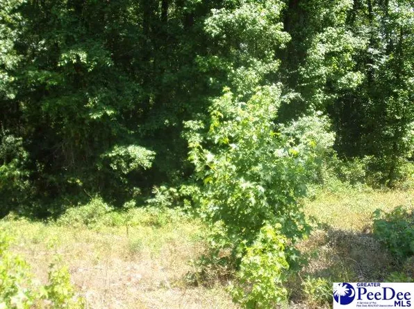 32 & 34 Willis Dr, Hartsville, SC 29550