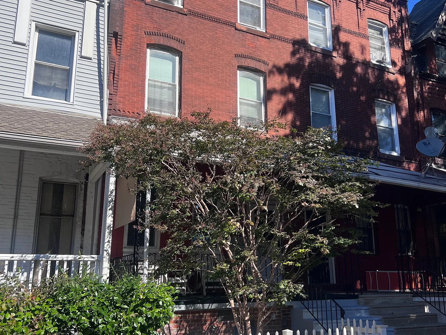 1 bed, $1,450 — Photo 4